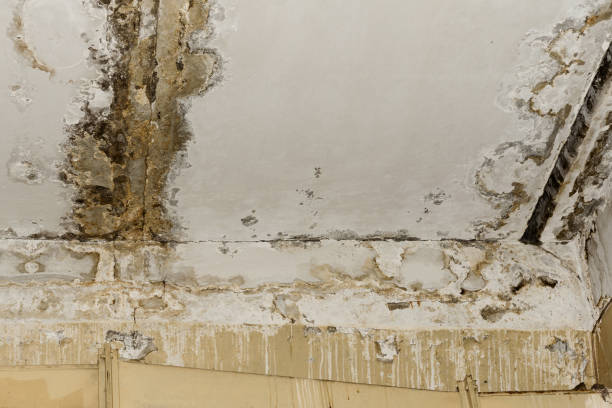  , USA Water damage restoration Pros